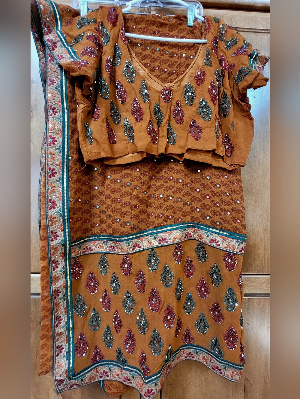 NWOT | Custom Burnt-Orange Georgette Saree w/ Aari Embroidery & Beading